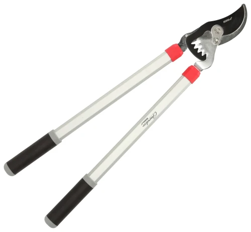 sekator ogrodowy dwuręczny DEDRA 80A021